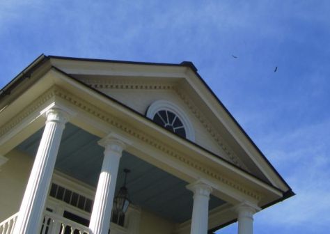 Eagles flying over the Mansion at Belle Grove